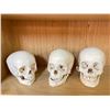 Image 2 : 3 skulls