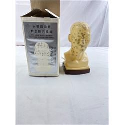 Acupuncture Head Model