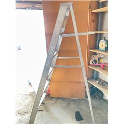 5 foot Ladder