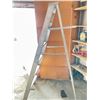 Image 1 : 5 foot Ladder