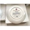 Image 17 : 10 Commemorative Plates