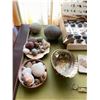 Image 9 : Minerals of Canada and Rocks Lot
