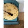 Image 2 : Salter Scale