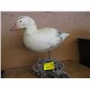 Image 1 : CARVED AND SIGNED DUCK ON WOOD BLOCK