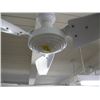 Image 2 : CEILING FAN