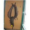 Image 1 : HORSE COLLAR WITH HAMES