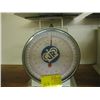 Image 1 : 22 KG SCALE