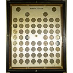 BUFFALO NICKEL SET, FRAMED CAPITOL PLASTIC HOLDER