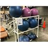 Image 1 : 5 YOGA BALLS AND 2 BOSU BALLS WITH RACK