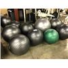 Image 1 : 17 YOGA BALLS