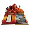 Image 1 : Lion King For Your Consideration Pop-Up.