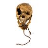 Image 1 : Pirates of the Caribbean Skull Prop.