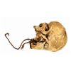 Image 2 : Pirates of the Caribbean Skull Prop.
