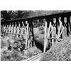 Image 4 : Carolwood Pacific Railroad Trestle Bridge Artwork.