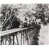Image 5 : Carolwood Pacific Railroad Trestle Bridge Artwork.