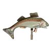 Image 2 : Nature's Wonderland Fish Prop.
