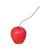 Image 1 : Snow White's Scary Adventure Poison Apple Prop.