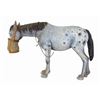 Image 4 : Set of (3) Western River Expedition Animal Models.