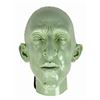 Image 1 : The Great Movie Ride Wicked Witch Test Head.