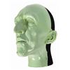 Image 2 : The Great Movie Ride Wicked Witch Test Head.
