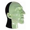 Image 3 : The Great Movie Ride Wicked Witch Test Head.