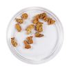 Image 1 : Lot of Gold Nuggets 3.79 Grams Total Weight