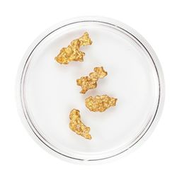 Lot of 3.14 Gram Total Weight Australian Gold Nuggets