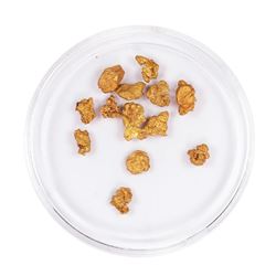 Lot of Gold Nuggets 2.62 Grams Total Weight