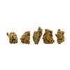 Image 1 : Lot of Gold Nuggets 2.27 Grams Total Weight