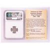 Image 2 : 1556 KB Hungary Denar 'Madonna and Child' Coin NGC XF45 w/ Story Box