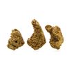 Image 1 : Lot of Gold Nuggets 2.91 Grams Total Weight
