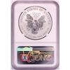 Image 2 : 2006-P $1 Reverse Proof American Silver Eagle Coin NGC PF69