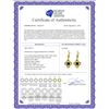 Image 2 : Genuine 1.0 ctw Black Diamond Earrings 14KT Yellow Gold - REF-76P2H