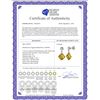 Image 2 : Genuine 17.56 ctw Citrine & Diamond Earrings 14KT Yellow Gold - REF-48P3H