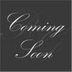 SILVER GELATIV PHOTOGRAPH MICHAEL BURNS