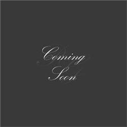 ICE CREAM PARLOR SET to include table a