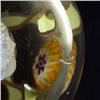 Image 2 : PAPERWEIGHT: Clear, having a series of “flowers” in a millefiori-like manner. In the center at the b
