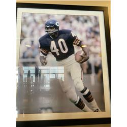 Framed Collector NFL Picture Gale Sayers