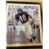 Image 1 : Framed Collector NFL Picture Gale Sayers