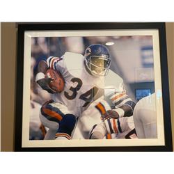 Framed collector NFL Picture Walter Payton
