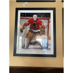 Framed collector picture NHL Tony Esposito