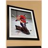 Image 2 : Framed collector NHL picture Ken Dryden