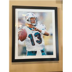 Framed Collector Picture NFL Dan Marino