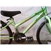 Image 2 : GREEN ARASHI BIKE