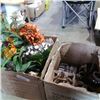 Image 1 : 2 boxes of artificial flowers, christmas string lights and more