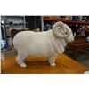 Image 2 : MOUNTAIN GOAT W/ SOUNDS