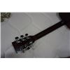 Image 8 : RITMILLER ACOUSTIC GUITAR