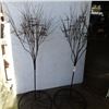 Image 1 : 2 decorative metal tree candle holders