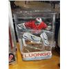 Image 4 : ROBERTO LUONGO, ROY PATRICK AND STEVE PARK FIGURES HOCKEY AND NASCAR