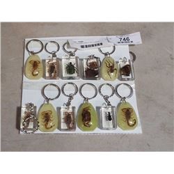 12 ENCASED INSECT KEYCHAINS